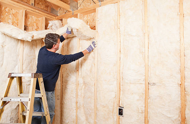 Best Attic Insulation Installation  in Snow Hill, MD